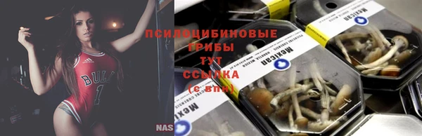 мет Алзамай