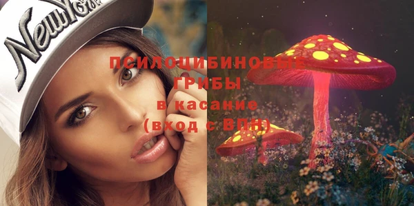 а пвп мука Алексин