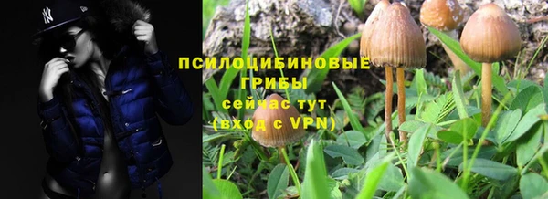 дживик Карпинск