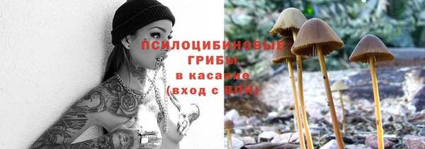 а пвп мука Алексин