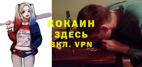твердый Алексеевка