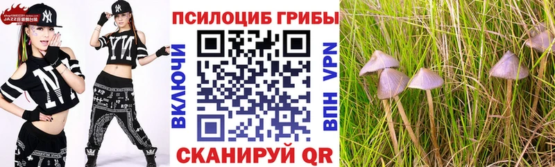 Псилоцибиновые грибы прущие грибы Фёдоровский